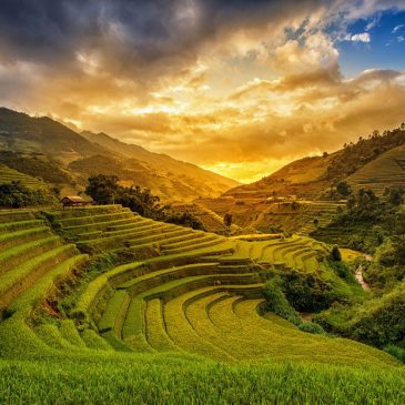 Fotokunst aus Vietnam