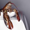 TAOI__0034_Lobster
