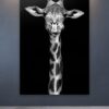 girafe en noir et blanc