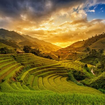 Fotokunst aus Vietnam