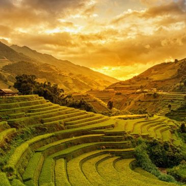 Fotokunst aus Vietnam