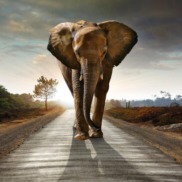 Fotokunst eines Elefanten in afrikanischer Landschaft