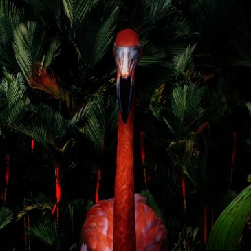 Atmosphärisches Gemälde eines Flamingos
