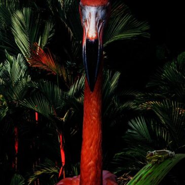 Atmospheric artwork by Flamingo