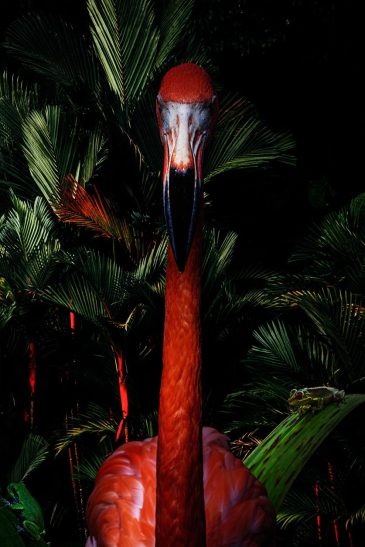 Tableau atmosphérique de flamants roses