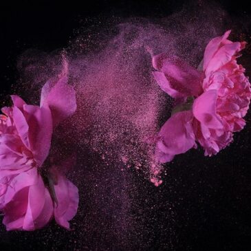 Unique artwork of flowers