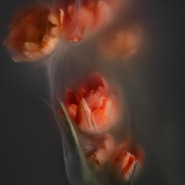 Muurkunst van bloemen stilleven