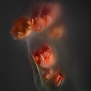 Muurkunst van bloemen stilleven