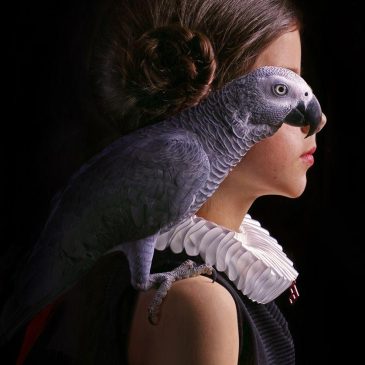 Retrato barroco de una niña con un loro