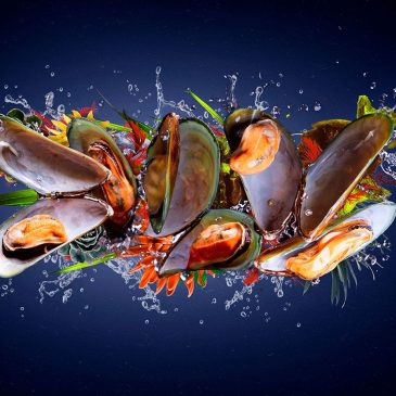 Sealife wall art mosselen