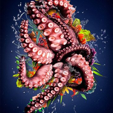 Decoración de pared de un pulpo