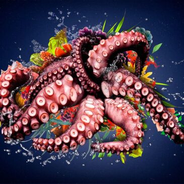Decoración de pared de un pulpo