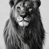 Schwarz-Weiß-Fotografie zeigt einen majestätischen Löwen