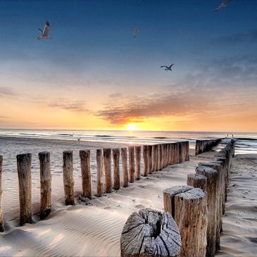 Luxuriöse Wanddekoration eines Strandes