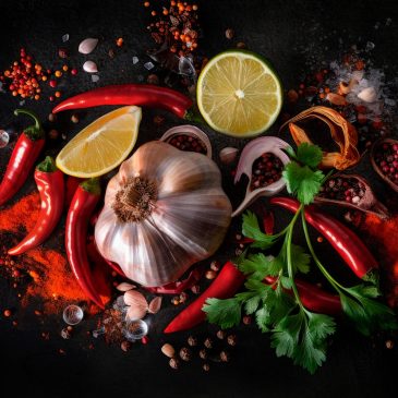illustrations photographiques d'herbes