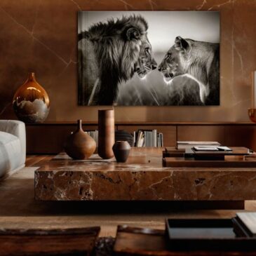 Lion couple on acrylic glass or sound-absorbing canvas