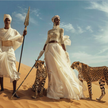 Afrique et art photo du guépard