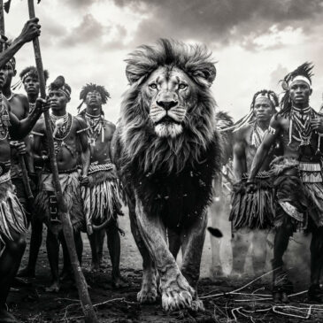 Tribal kunstfoto met majestueuze leeuw