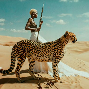 Luxe foto van Afrika en jachtluipaard