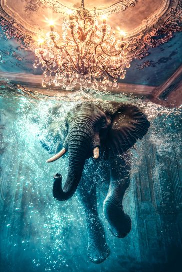 Photographie artistique d'un éléphant nageant
