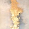 Abstract wall art with gold