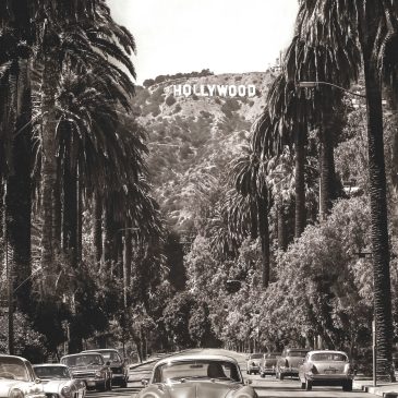 Palm Road II black and white photo of palm tree street with cars urban landscape wall decoration