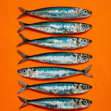 Modernes Gemälde mit Sardinen und orangefarbenem Hintergrund
