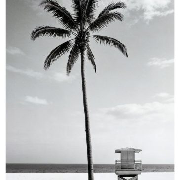 Minimalist black and white wall decoration with palm tree and lifeguard tower on a quiet beach