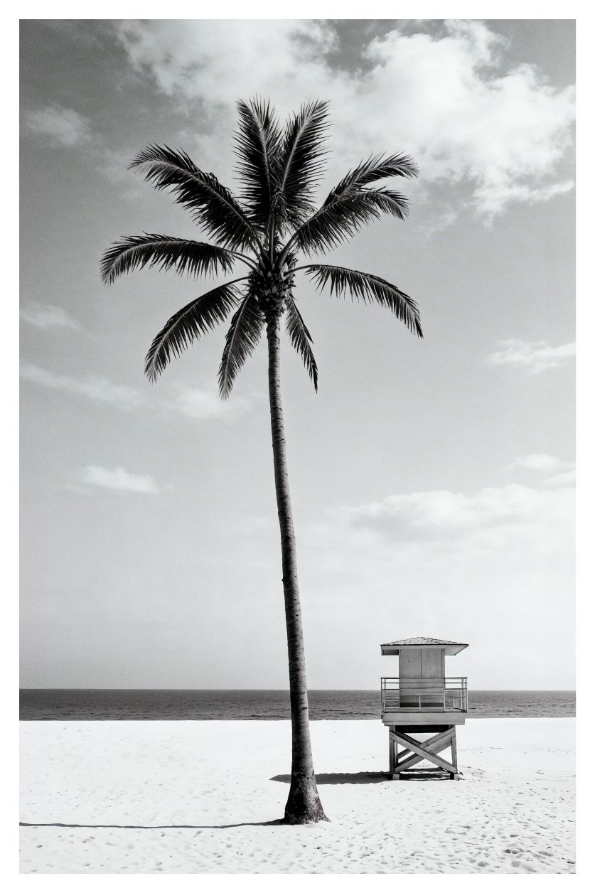 Minimalist black and white wall decoration with palm tree and lifeguard tower on a quiet beach