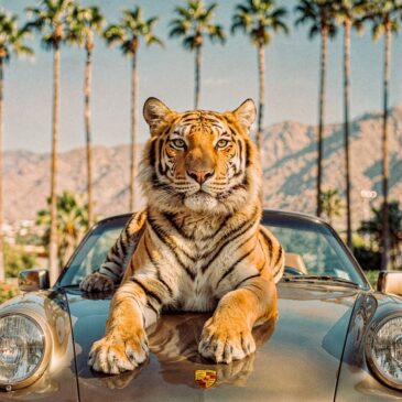 Tiger-Mirage