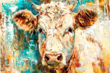 dutch cow