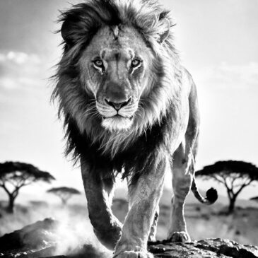 Le Roi Lion