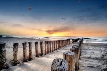 Luxe wanddecoratie van een strand