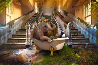 Fantasy-Bath-Tub-Art-of-Interior-Online-Gallerij