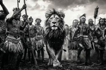 Tribal kunstfoto met majestueuze leeuw