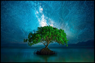 Pintura única de boom bajo las estrellas