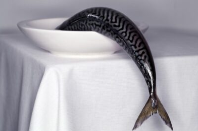 Photo art for the kitchen of fishing