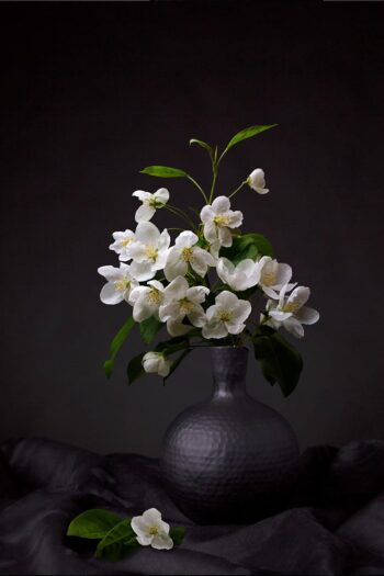 Bloemen wall art van witte appelbloesem