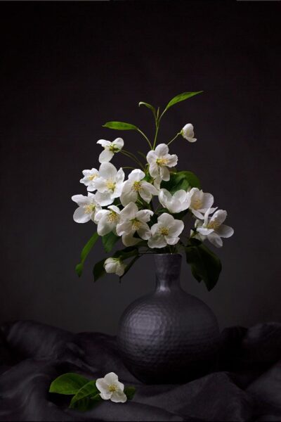 Arte floral de la pared de flor de manzano blanco.