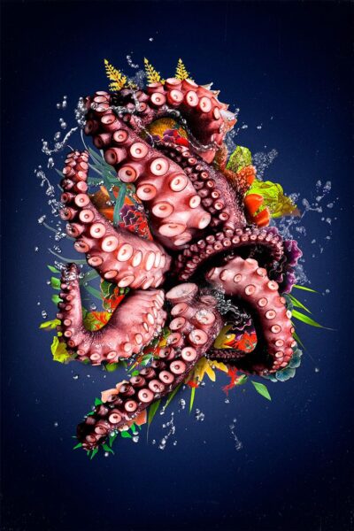 Wall decoration of an Octopus
